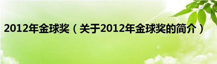 2012年金球獎（關于2012年金球獎的簡介）