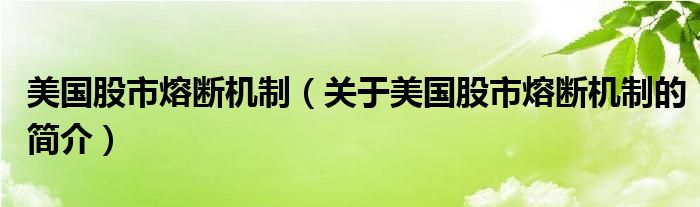 美國股市熔斷機(jī)制（關(guān)于美國股市熔斷機(jī)制的簡介）