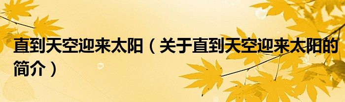 直到天空迎來太陽(yáng)（關(guān)于直到天空迎來太陽(yáng)的簡(jiǎn)介）