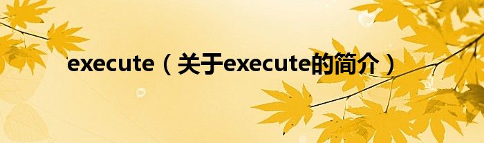 execute（關(guān)于execute的簡(jiǎn)介）