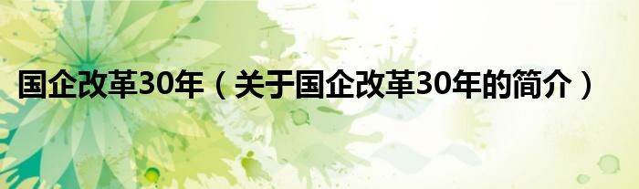 國企改革30年（關(guān)于國企改革30年的簡介）