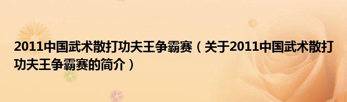 2011中國武術散打功夫王爭霸賽（關于2011中國武術散打功夫王爭霸賽的簡介）