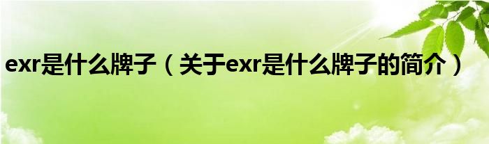 exr是什么牌子（關(guān)于exr是什么牌子的簡(jiǎn)介）