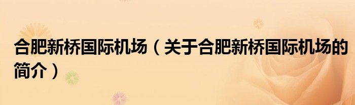 合肥新橋國(guó)際機(jī)場(chǎng)（關(guān)于合肥新橋國(guó)際機(jī)場(chǎng)的簡(jiǎn)介）