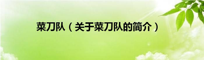 菜刀隊(duì)（關(guān)于菜刀隊(duì)的簡(jiǎn)介）