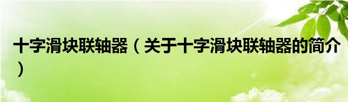 十字滑塊聯(lián)軸器（關(guān)于十字滑塊聯(lián)軸器的簡介）