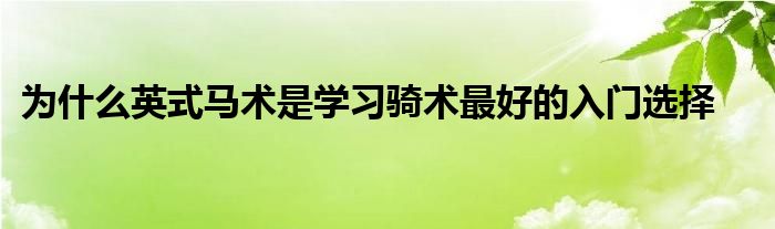 為什么英式馬術(shù)是學習騎術(shù)最好的入門選擇