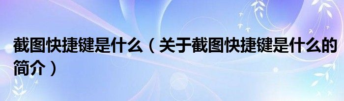 截圖快捷鍵是什么（關(guān)于截圖快捷鍵是什么的簡(jiǎn)介）