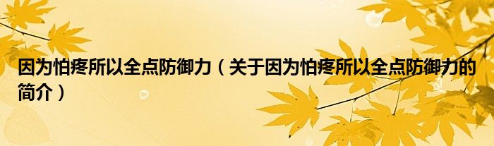 因?yàn)榕绿鬯匀c(diǎn)防御力（關(guān)于因?yàn)榕绿鬯匀c(diǎn)防御力的簡介）