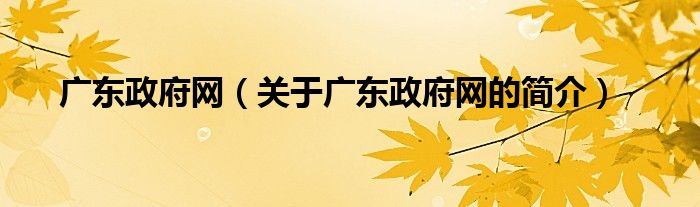 廣東政府網(wǎng)（關(guān)于廣東政府網(wǎng)的簡(jiǎn)介）