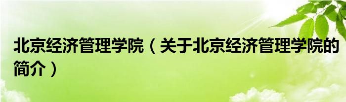 北京經(jīng)濟管理學院（關(guān)于北京經(jīng)濟管理學院的簡介）