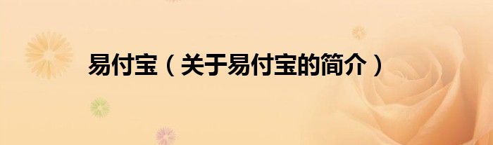 易付寶（關(guān)于易付寶的簡(jiǎn)介）