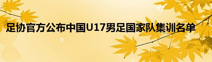 足協(xié)官方公布中國(guó)U17男足國(guó)家隊(duì)集訓(xùn)名單