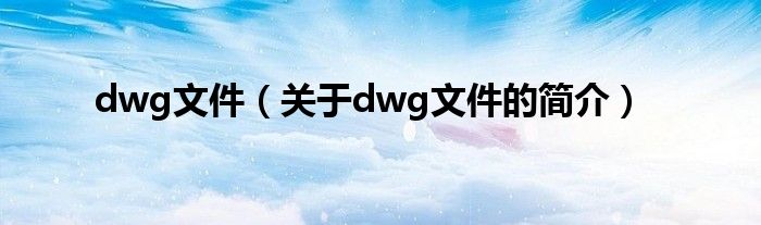 dwg文件（關(guān)于dwg文件的簡(jiǎn)介）