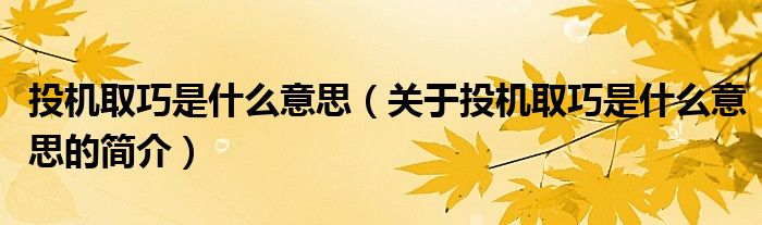 投機(jī)取巧是什么意思（關(guān)于投機(jī)取巧是什么意思的簡(jiǎn)介）