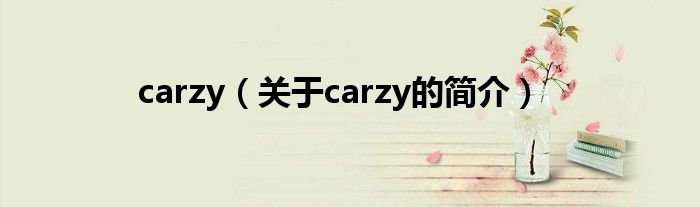 carzy（關于carzy的簡介）