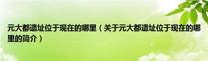 元大都遺址位于現(xiàn)在的哪里（關(guān)于元大都遺址位于現(xiàn)在的哪里的簡介）