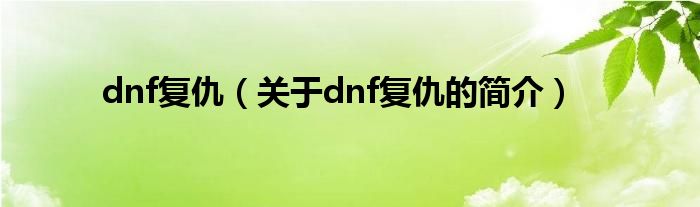 dnf復仇（關(guān)于dnf復仇的簡介）