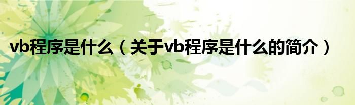 vb程序是什么（關(guān)于vb程序是什么的簡(jiǎn)介）