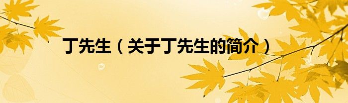 丁先生（關(guān)于丁先生的簡(jiǎn)介）