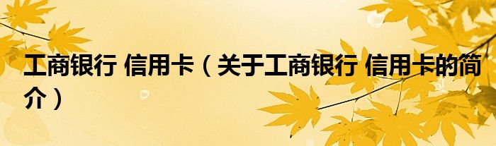 工商銀行 信用卡（關(guān)于工商銀行 信用卡的簡介）