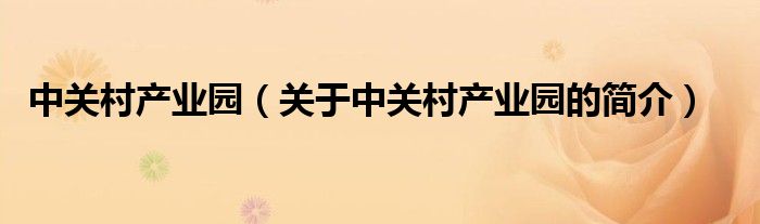 中關(guān)村產(chǎn)業(yè)園（關(guān)于中關(guān)村產(chǎn)業(yè)園的簡介）