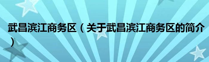 武昌濱江商務(wù)區(qū)（關(guān)于武昌濱江商務(wù)區(qū)的簡(jiǎn)介）