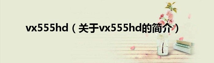 vx555hd（關于vx555hd的簡介）