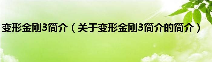 變形金剛3簡介（關于變形金剛3簡介的簡介）