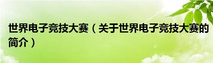 世界電子競(jìng)技大賽（關(guān)于世界電子競(jìng)技大賽的簡(jiǎn)介）