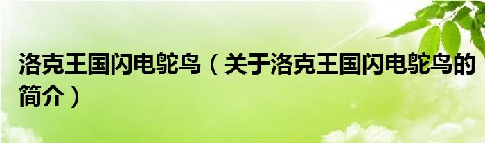 洛克王國閃電鴕鳥（關于洛克王國閃電鴕鳥的簡介）