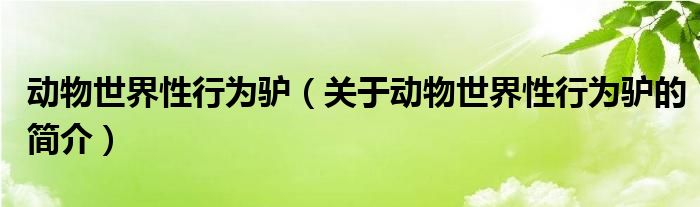 動物世界性行為驢（關(guān)于動物世界性行為驢的簡介）