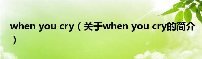 when you cry（關(guān)于when you cry的簡介）