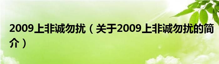 2009上非誠勿擾（關(guān)于2009上非誠勿擾的簡介）