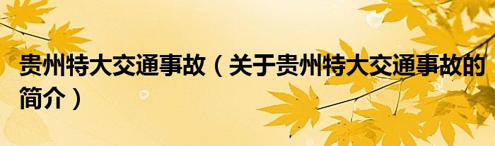 貴州特大交通事故（關(guān)于貴州特大交通事故的簡介）