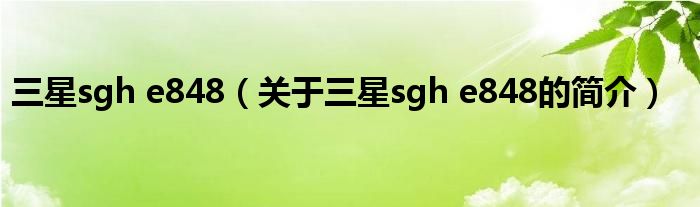 三星sgh e848（關(guān)于三星sgh e848的簡(jiǎn)介）