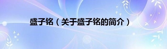 盛子銘（關(guān)于盛子銘的簡(jiǎn)介）