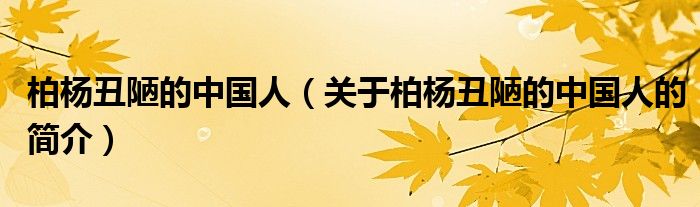 柏楊丑陋的中國(guó)人（關(guān)于柏楊丑陋的中國(guó)人的簡(jiǎn)介）