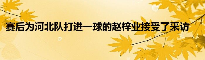 賽后為河北隊打進一球的趙梓業(yè)接受了采訪