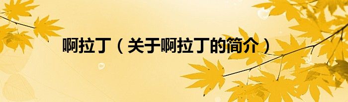 啊拉丁（關(guān)于啊拉丁的簡(jiǎn)介）