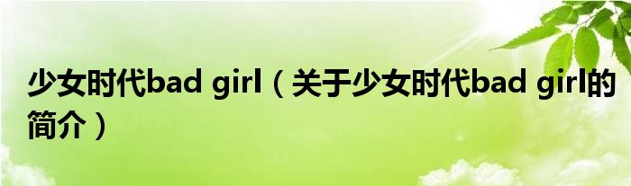 少女時(shí)代bad girl（關(guān)于少女時(shí)代bad girl的簡(jiǎn)介）