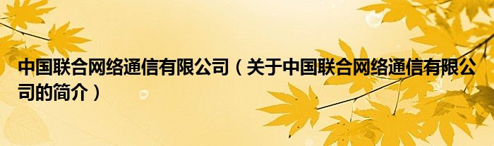 中國聯(lián)合網(wǎng)絡(luò)通信有限公司（關(guān)于中國聯(lián)合網(wǎng)絡(luò)通信有限公司的簡介）