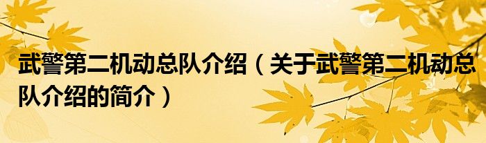 武警第二機(jī)動總隊介紹（關(guān)于武警第二機(jī)動總隊介紹的簡介）