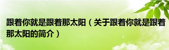 跟著你就是跟著那太陽（關(guān)于跟著你就是跟著那太陽的簡(jiǎn)介）