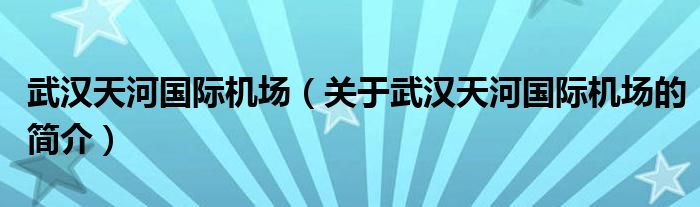 武漢天河國際機場（關于武漢天河國際機場的簡介）