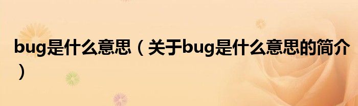 bug是什么意思（關(guān)于bug是什么意思的簡(jiǎn)介）