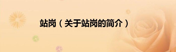 站崗（關(guān)于站崗的簡(jiǎn)介）