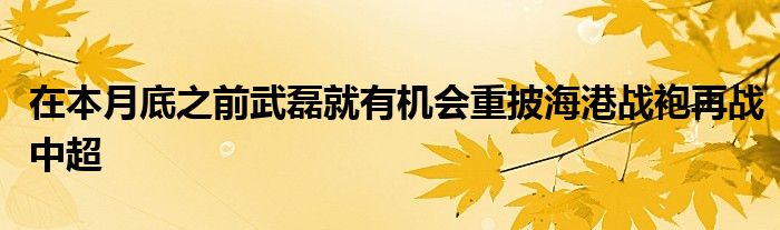 在本月底之前武磊就有機(jī)會重披海港戰(zhàn)袍再戰(zhàn)中超