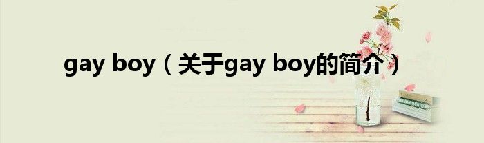 gay boy（關(guān)于gay boy的簡(jiǎn)介）