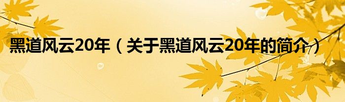 黑道風(fēng)云20年（關(guān)于黑道風(fēng)云20年的簡(jiǎn)介）